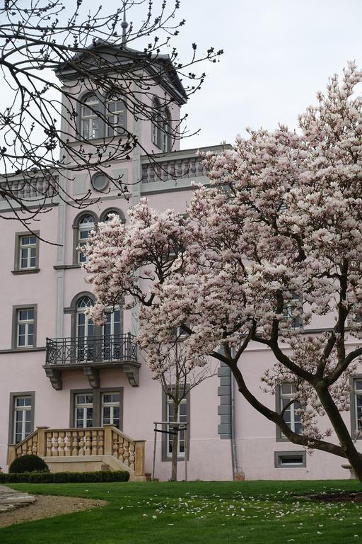 Rittergut Rottewitz Hotel Meissen Exterior photo